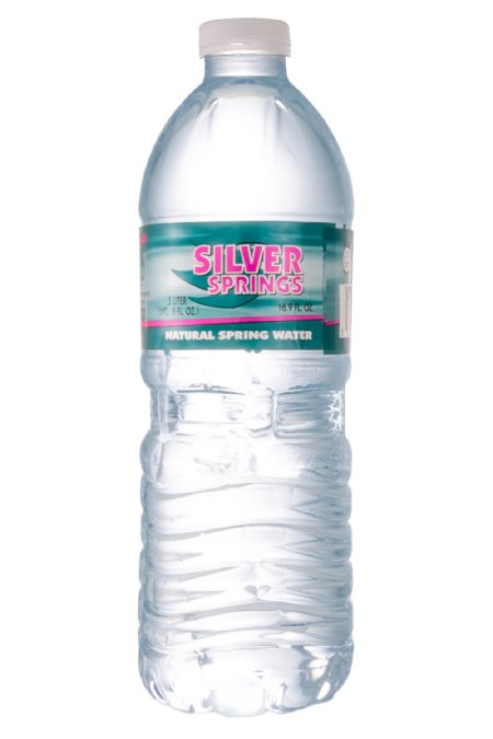 16 ounce Bottles of Florida Spring Water.